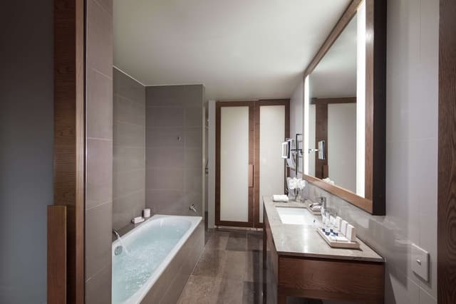 Premier King Room with City View · foto 8