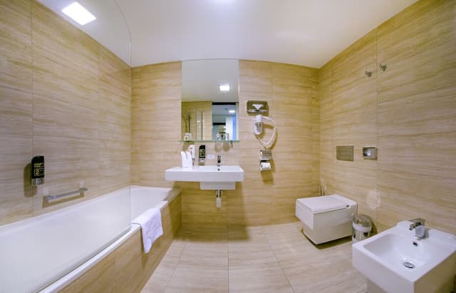 Deluxe Suite · photo 8