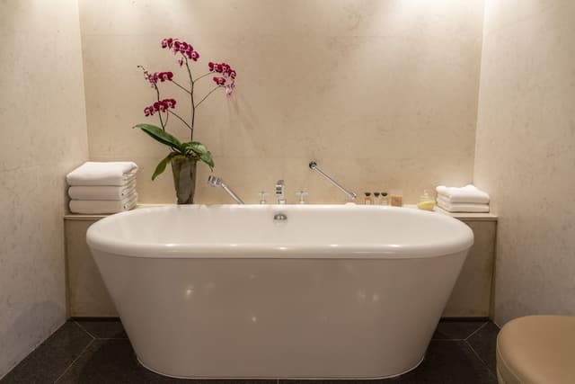 Room, 1 King Bed (Palace) · photo 8