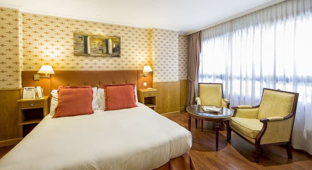 Double Room Single Use, 1 King Bed · photo 6