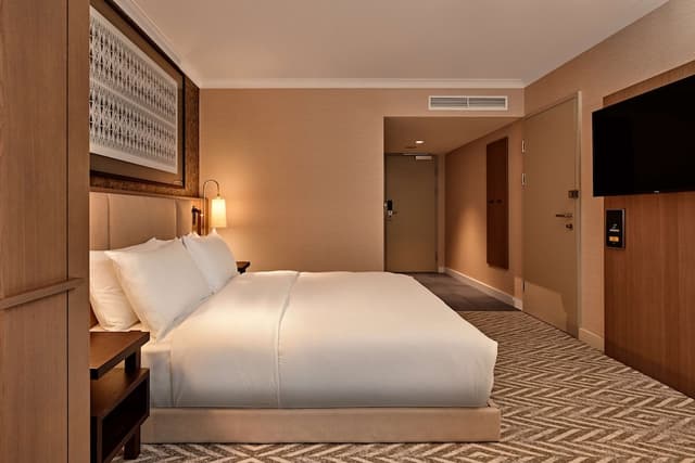 Room, 1 King Bed, Accessible (Roll-In Shower) · foto 1