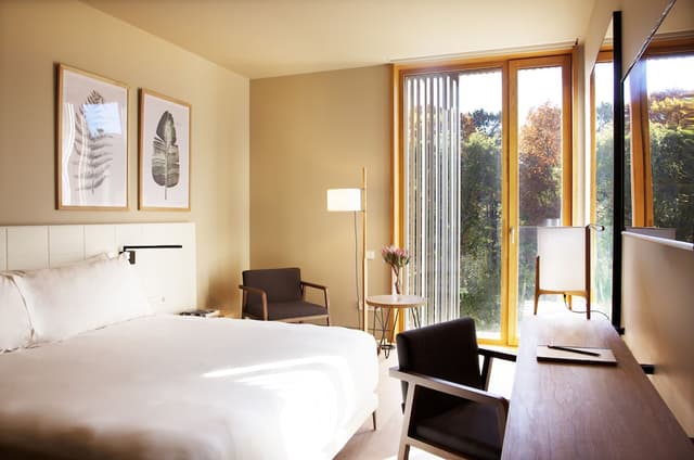 Standard Room (SPA access) · photo 2