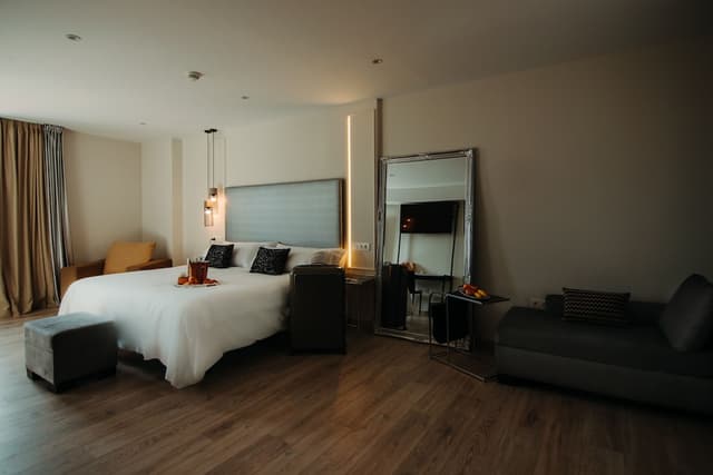 Deluxe Double Room · photo 7