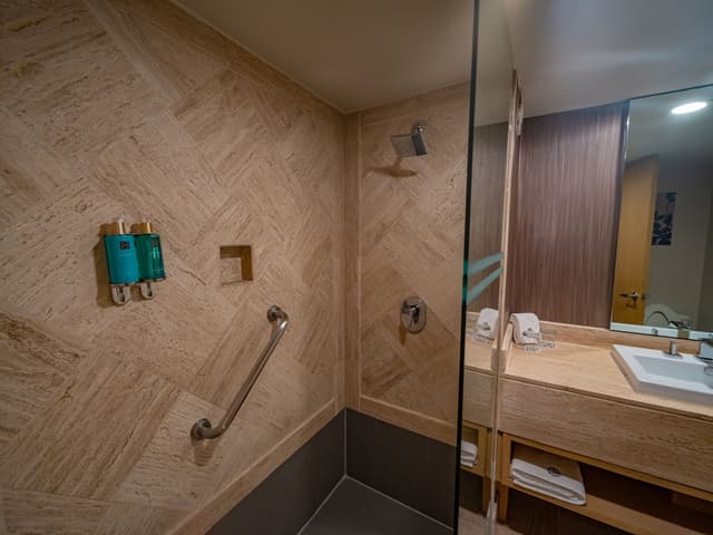 Junior Suite, 1 King Bed · foto 7