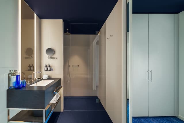 Superior Studio, 1 King Bed, City View · foto 5