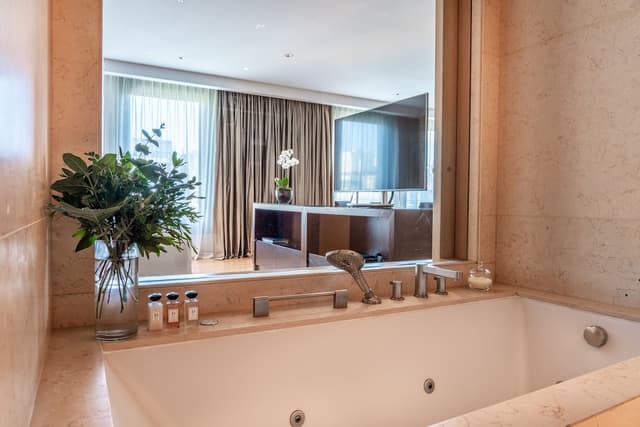 Park, Suite, 1 King Bed · photo 7