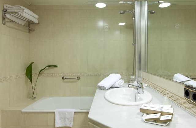Double Room Single Use, 1 Twin Bed · foto 4