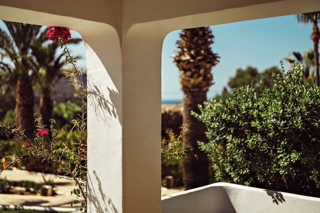 Suite (Hibiscus) · foto 1