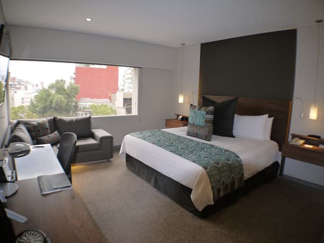Classic Room, 1 King Bed (Polanco View) · foto 1