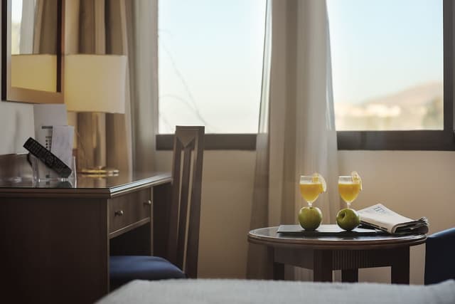 Double Room Single Use, 1 Twin Bed · foto 5