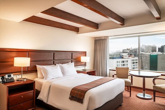 Superior Room, 1 Queen Bed · foto 7
