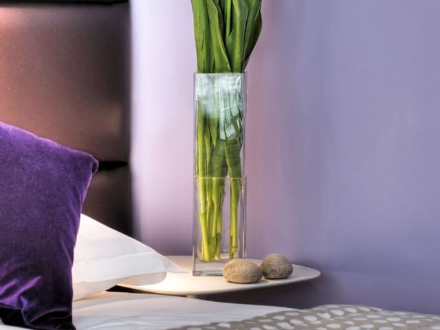 Superior Room, 1 Double Bed (City side) · photo 5