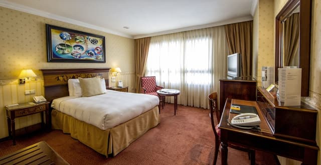 Double Room Single Use, 1 King Bed · photo 5