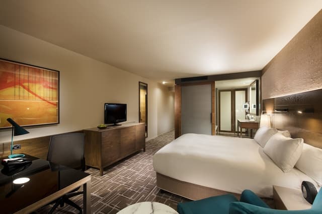 Premier King Room with City View · foto 6