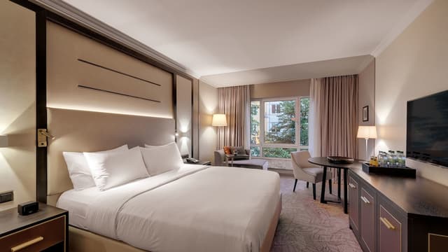 Room, 1 King Bed, Accessible, Non Smoking · photo 6