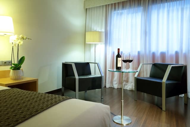 Deluxe Double Room · photo 3