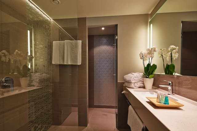 Superior Room · foto 1