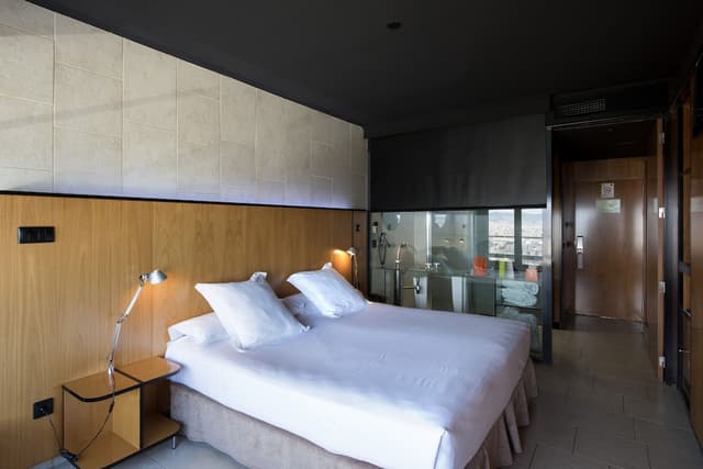 Double Room Single Use · photo 1