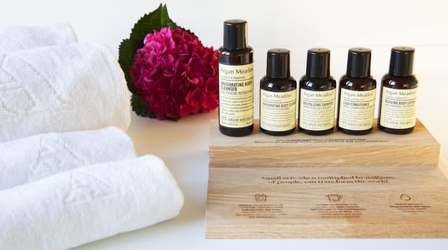 Standard Room (SPA access) · photo 4
