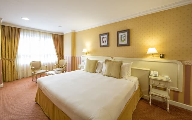 Double Room Single Use, 1 King Bed · photo 4