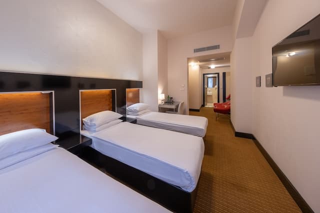 Superior Triple Room (Double room with Extra bed) · foto 8