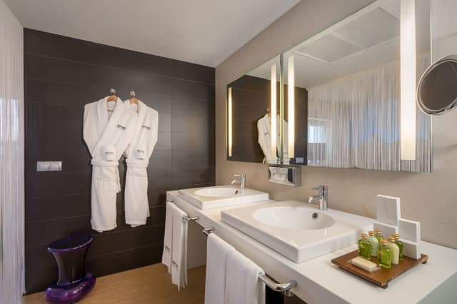 Deluxe Double Room · photo 3