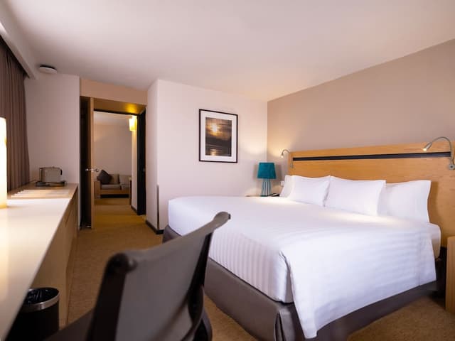 Junior Suite, 1 King Bed · foto 1