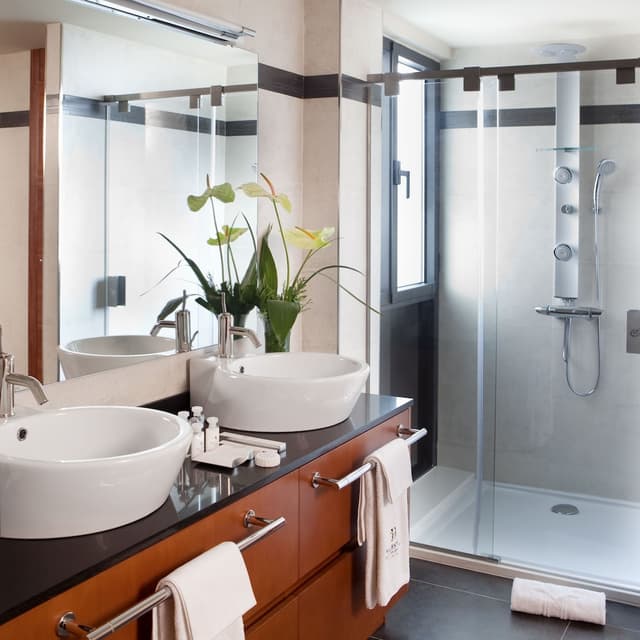 Standard Apartment, Annex Building (Paseo de Gracia) · photo 3
