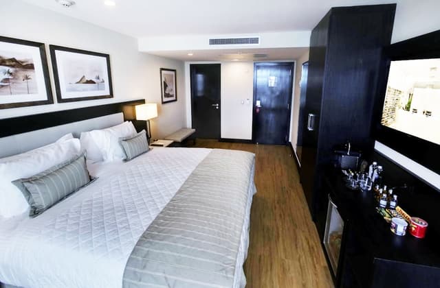 Superior Executivo com Cama Casal · photo 4