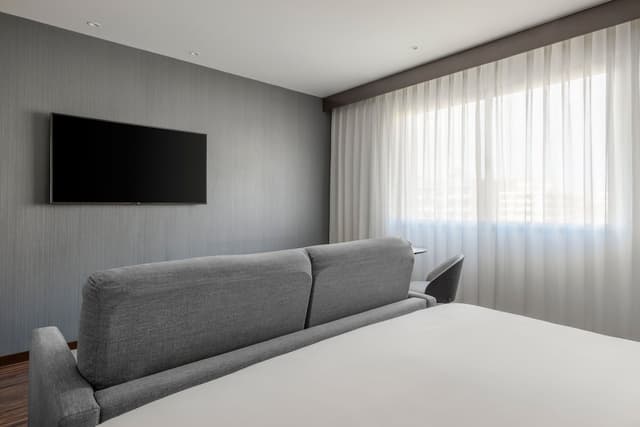 Room, 1 King Bed with Sofa bed · foto 3