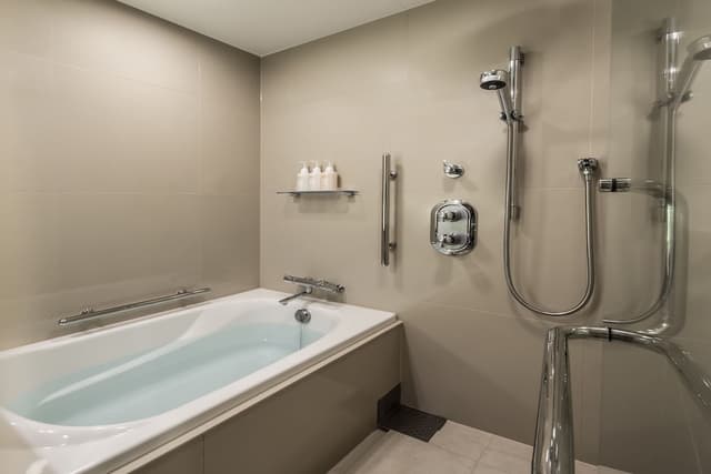 Deluxe Twin Room, Non Smoking (Premium Floor) · foto 6