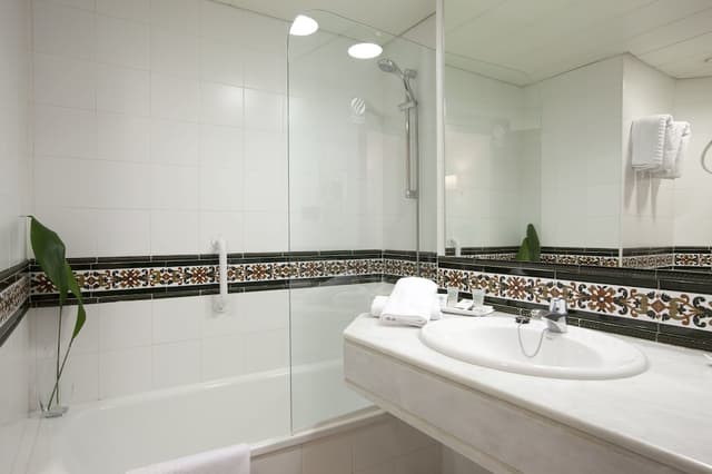 Double Room Single Use, 1 Twin Bed · foto 6