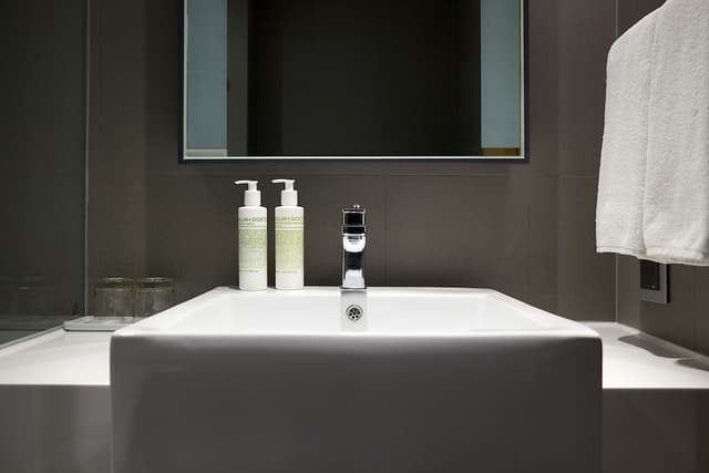 Superior Double Room (N Tower View) · photo 4