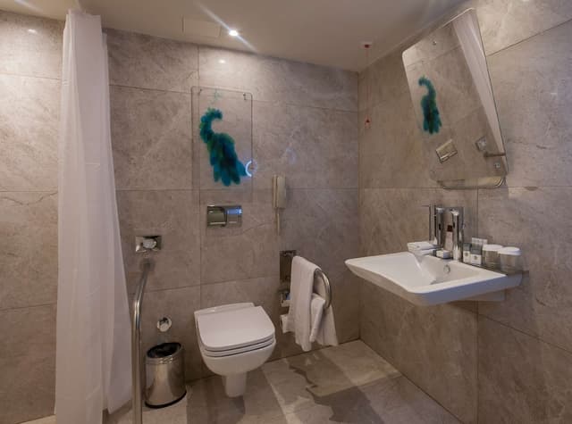 Room, 1 Queen Bed, Accessible · foto 5