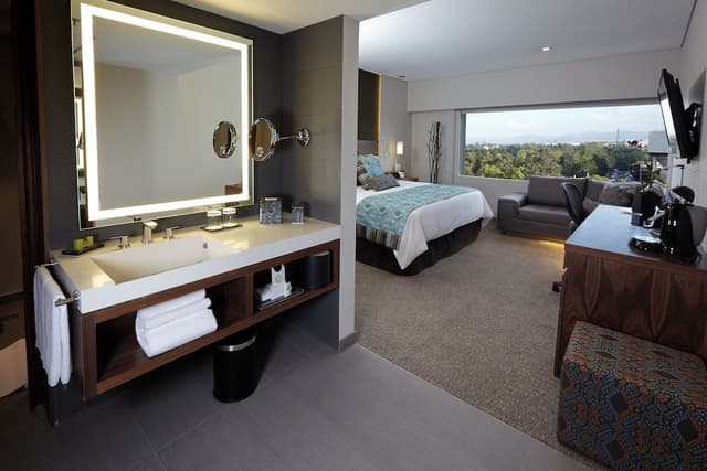 Classic Room, 1 King Bed (Chapultepec Park View) · foto 5