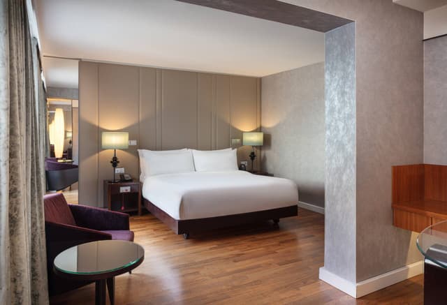 King Accessible Guest Room · foto 1