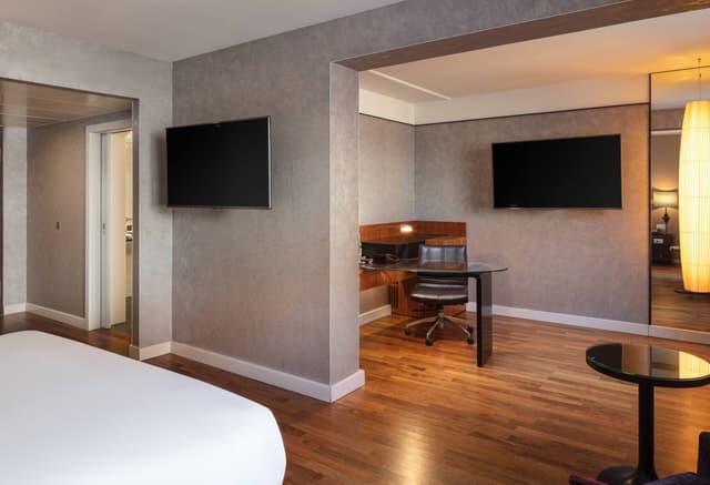 King Accessible Guest Room · foto 4