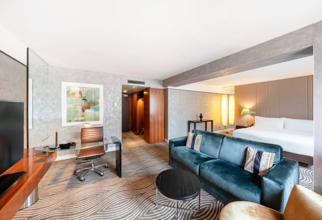 King Deluxe Guest Room · photo 1