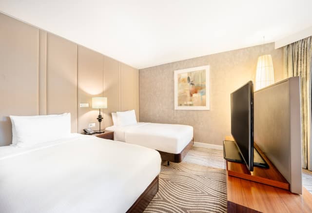 Twin Deluxe Room · photo 1