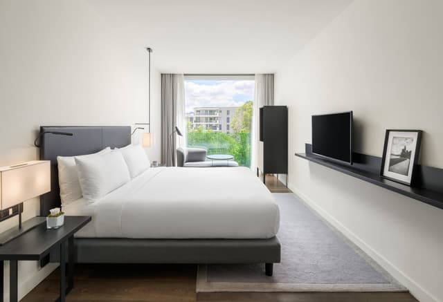 King Deluxe Room · photo 1