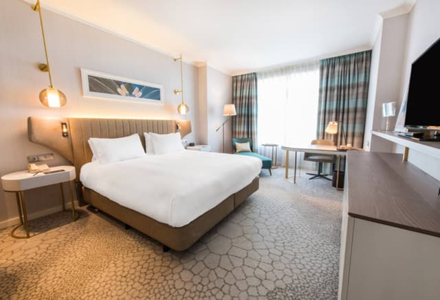 King Guest Room · photo 2